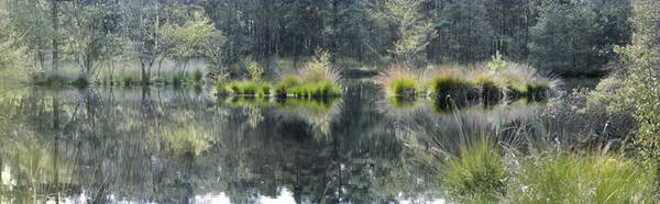 Landschaft